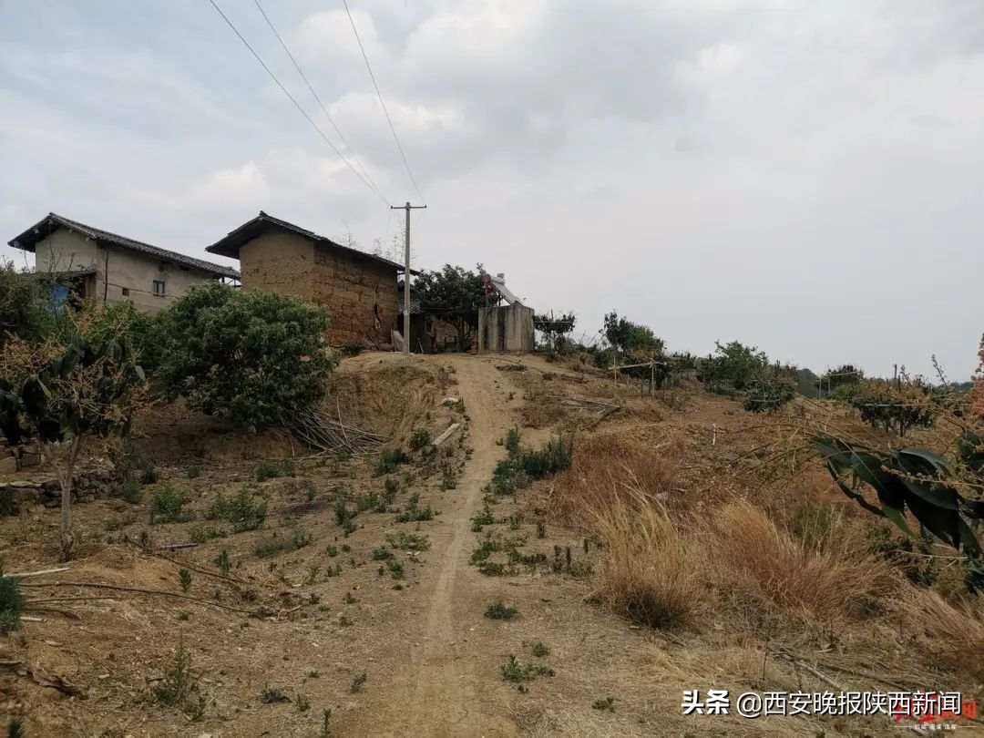 村民自费修山路被罚四万元,村民自费修山路被罚4万后续结果