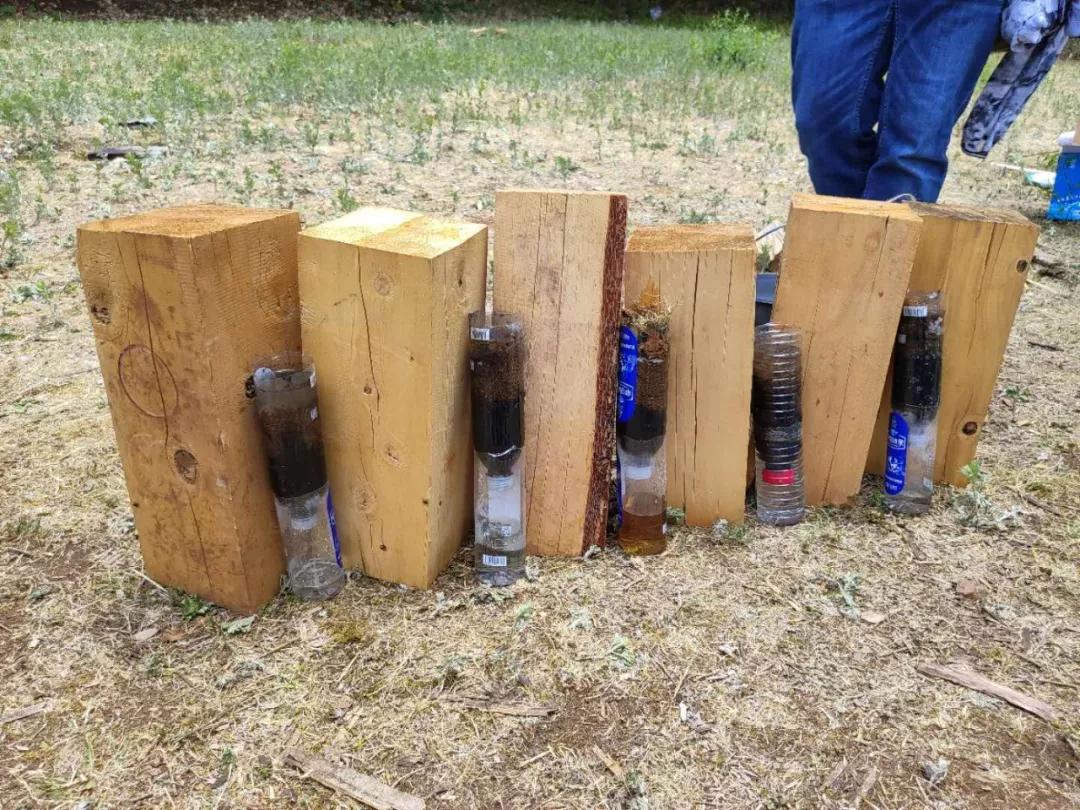 dc24h亲子训练营,dc训练半小时