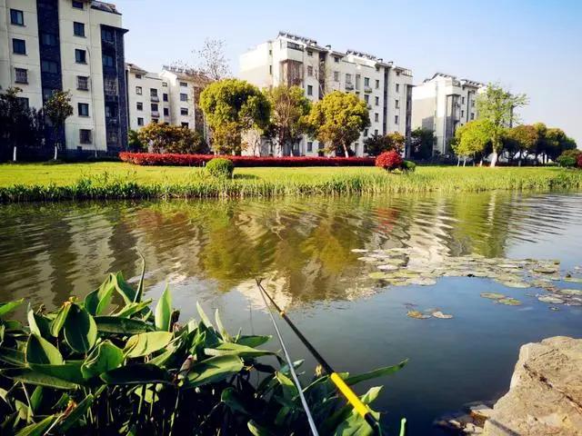 野钓怎么找钓位最简单方法,野钓这三个钓点千万不要选