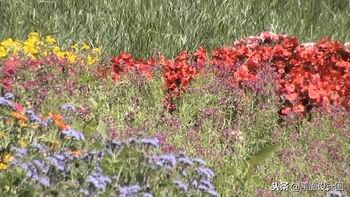 索尼dvd805e摄像机,索尼rx550e摄像机