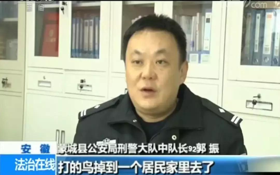 深井下发现的恐怖命案,深井下的真相天网