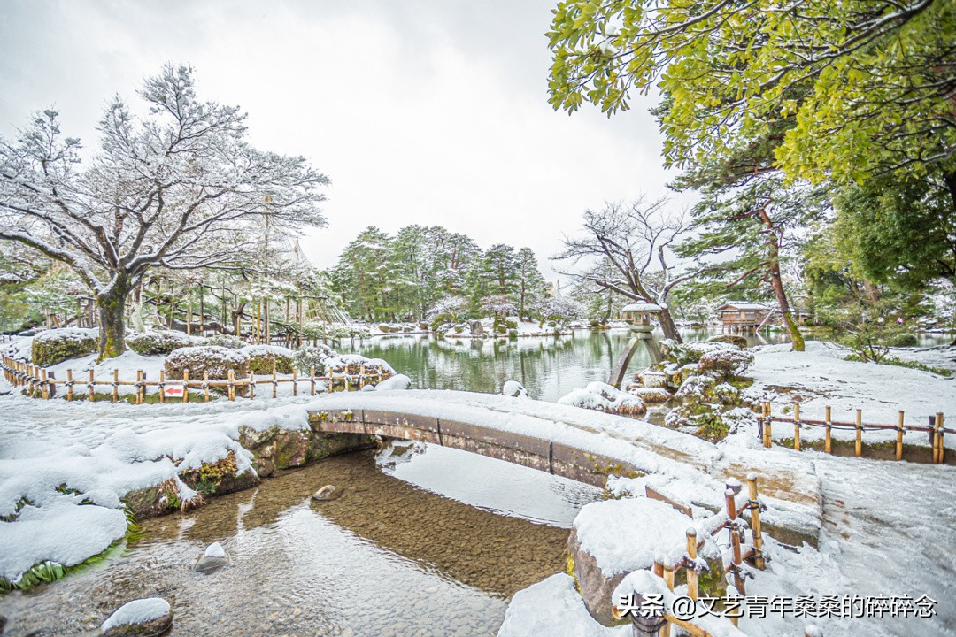 冬季日本的自驾游攻略,冬日游日本名古屋攻略