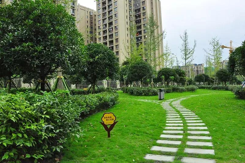双流区城市森林公园,你生活的城市什么样