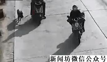 小伙一只宠物狗丢失,一男子2万元买了一只宠物犬