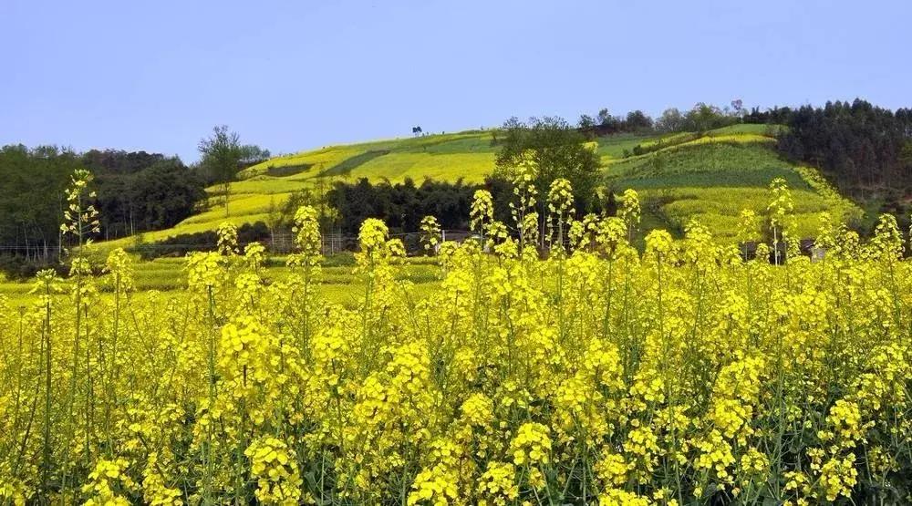 您有一份邀请函请查收,您有一份新的工作请查收