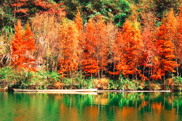 广西是一个环境优美的地方,广西是一个非常有意思的地方