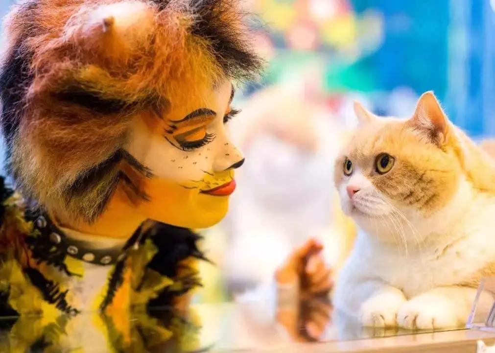 魔都这家商场撒钱啦！百万消费券每日上架即秒光