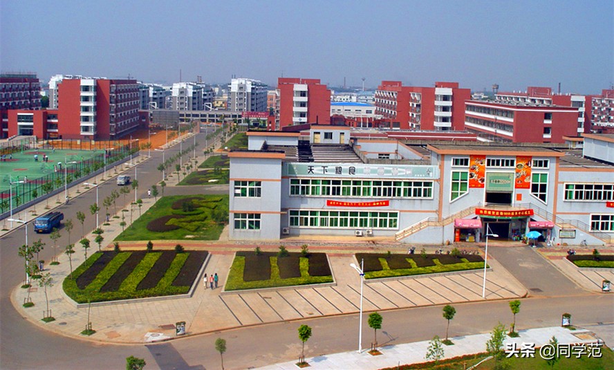 浙江十大高职学校排名,这五所985大学实力强劲