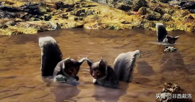 冰原dlc中dlc是什么意思,冰原dlc和豪华版dlc区别