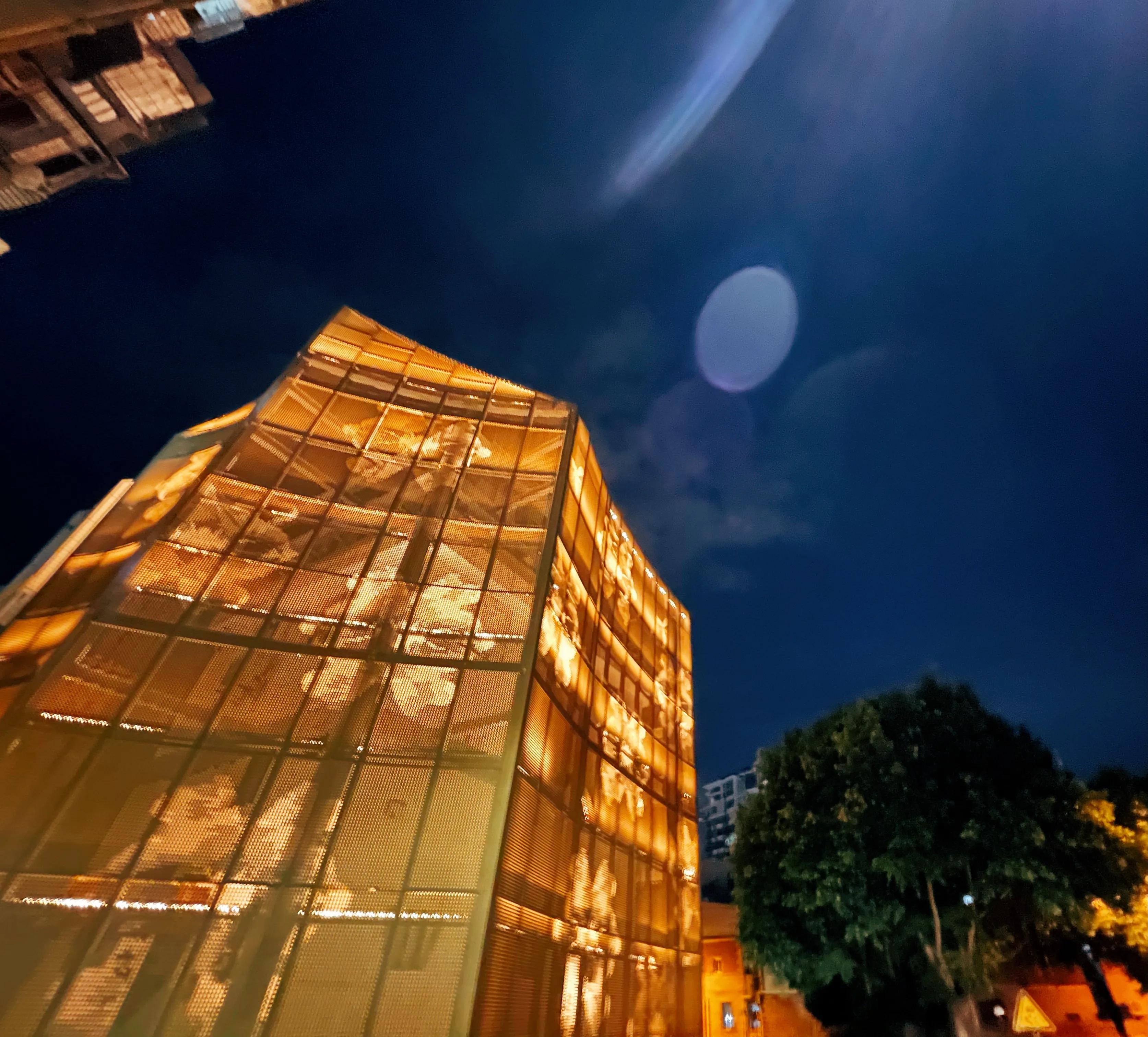 刺桐花开巨型雕塑,静待刺桐花开全文