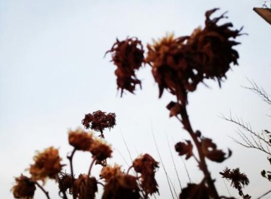 描述初冬的优美诗词,深秋初冬唯美诗句