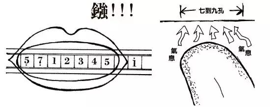 24孔半音阶口琴教学入门,24孔单音口琴的音位排列