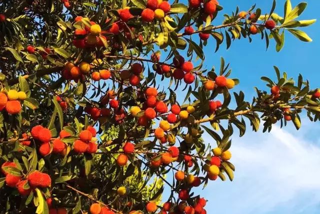 为钓鱼建房子,为了钓鱼在河边盖了房子