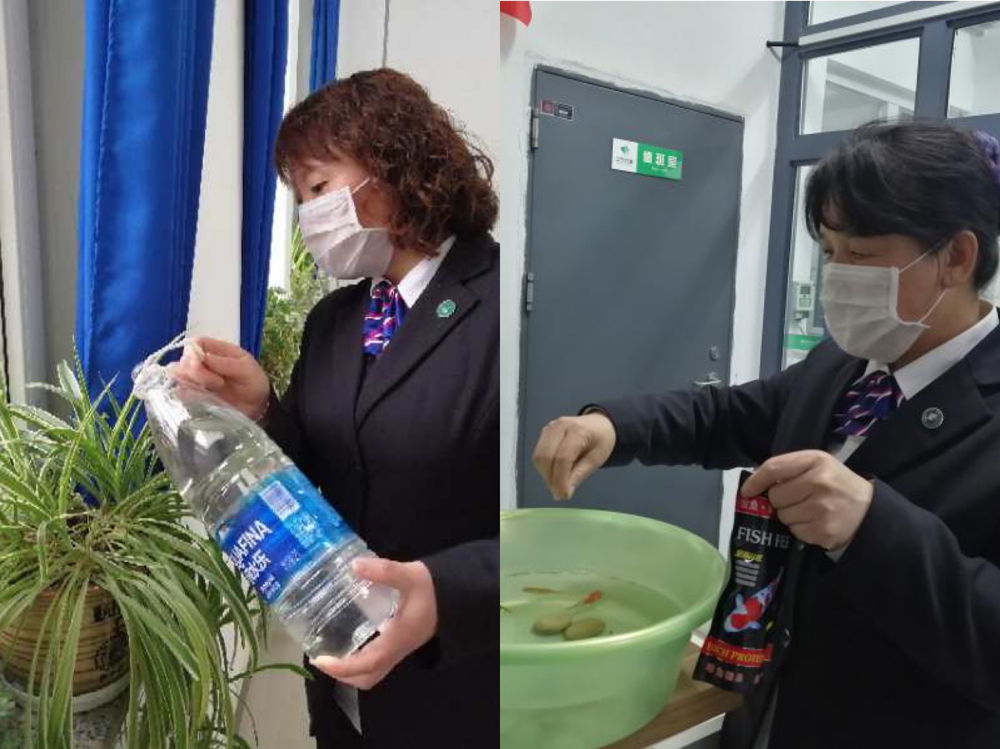 同学，你的花花草草阿姨已浇过水啦！衣服也晒了！沈阳药科大学宿管阿姨实力宠娃！