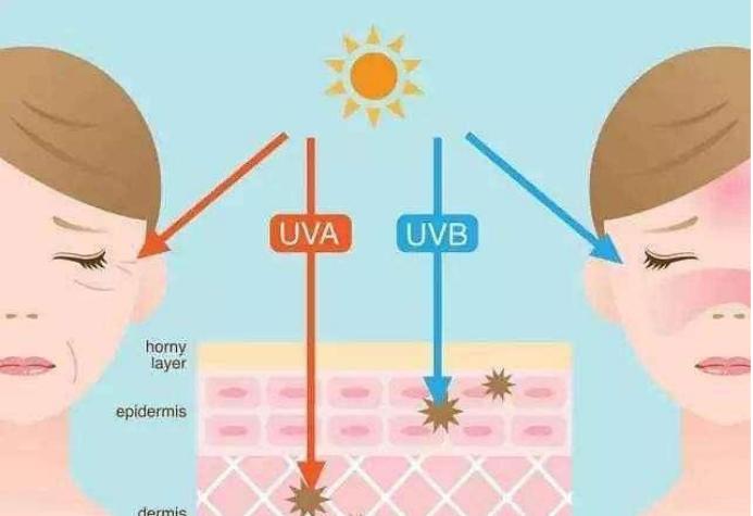隔离霜和防晒霜的区别和使用,隔离霜和防晒霜的区别和使用顺序