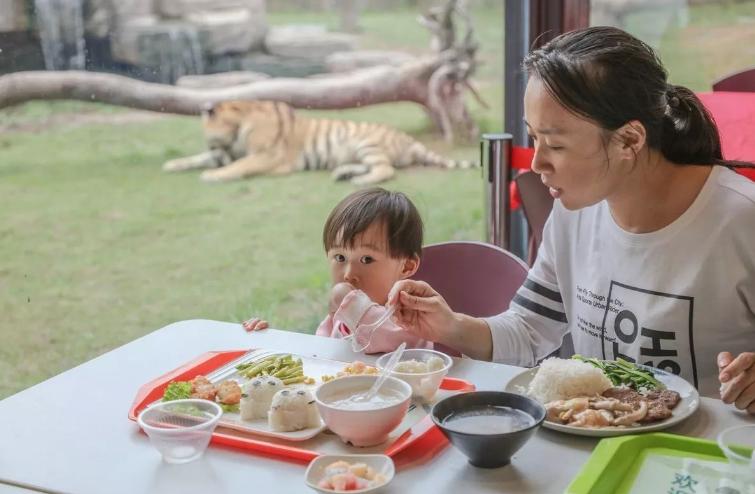挑食胃口不佳吃什么好,挑食不吃饭的绝招