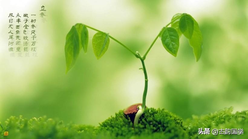 二十四节气对应一句诗句,二十四个节气二十四首诗词与配图