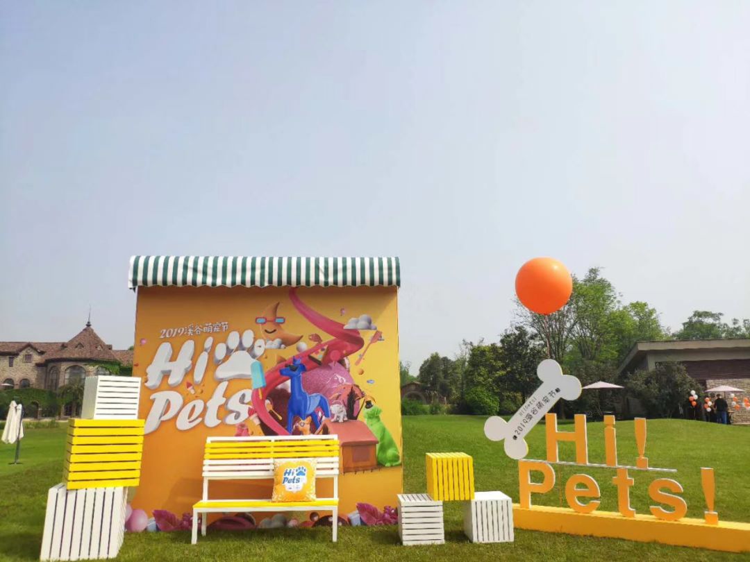 开宠物店成都哪里最好卖,成都最大宠物连锁店