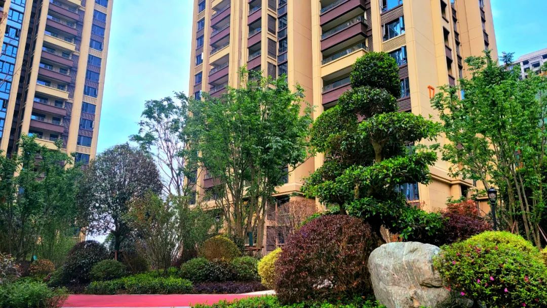 四月芳菲醉喜迎学子归,新鸥鹏教育小镇哈佛公馆游玩