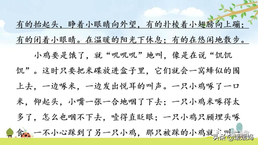 四年级下册第13课小练笔仿写母鸡,四年级下册14课母鸡的预习完整版
