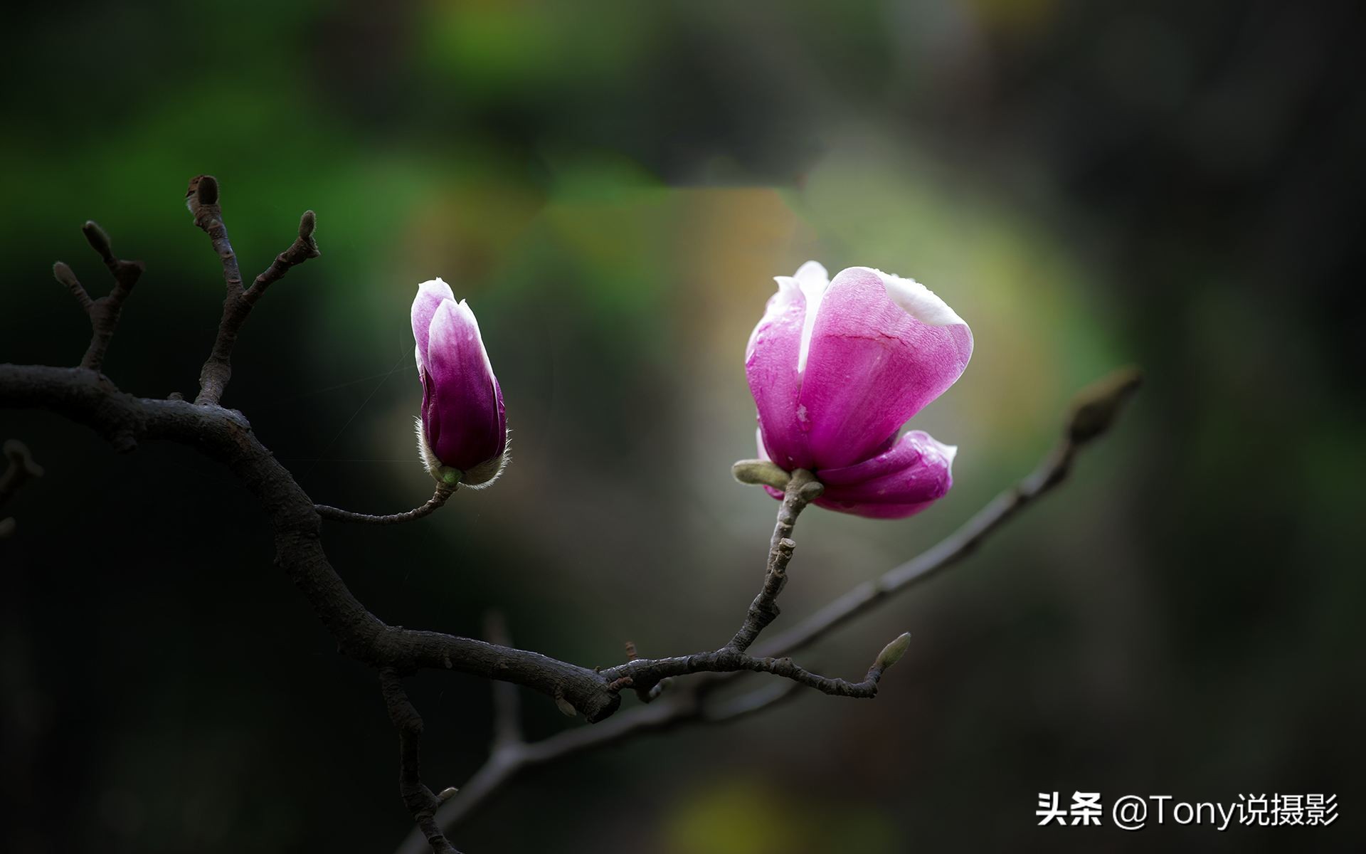 拍照片糊怎么办,拍照拍糊了怎么补救