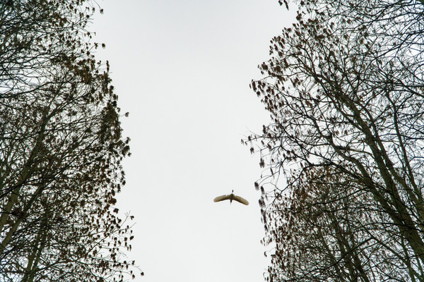 踏春赏花拍美景,踏春赏花逛湖