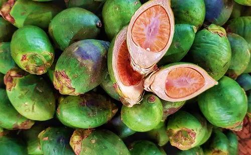 吃槟榔犯病是什么情况,吃槟榔脏器衰竭