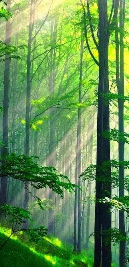 一性情中人用香烟名串成一首情诗，太有才了，发给大家乐一乐