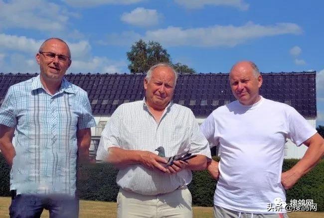 冠军孵化器——福雷迪和雅克.范希兄弟鸽舍