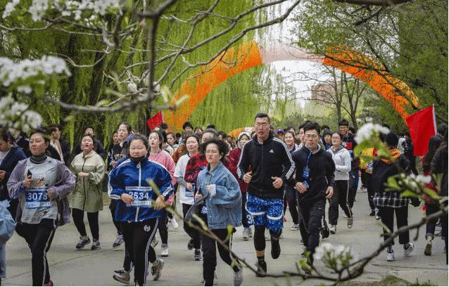 外面零下20℃，绿岛却沸腾了...