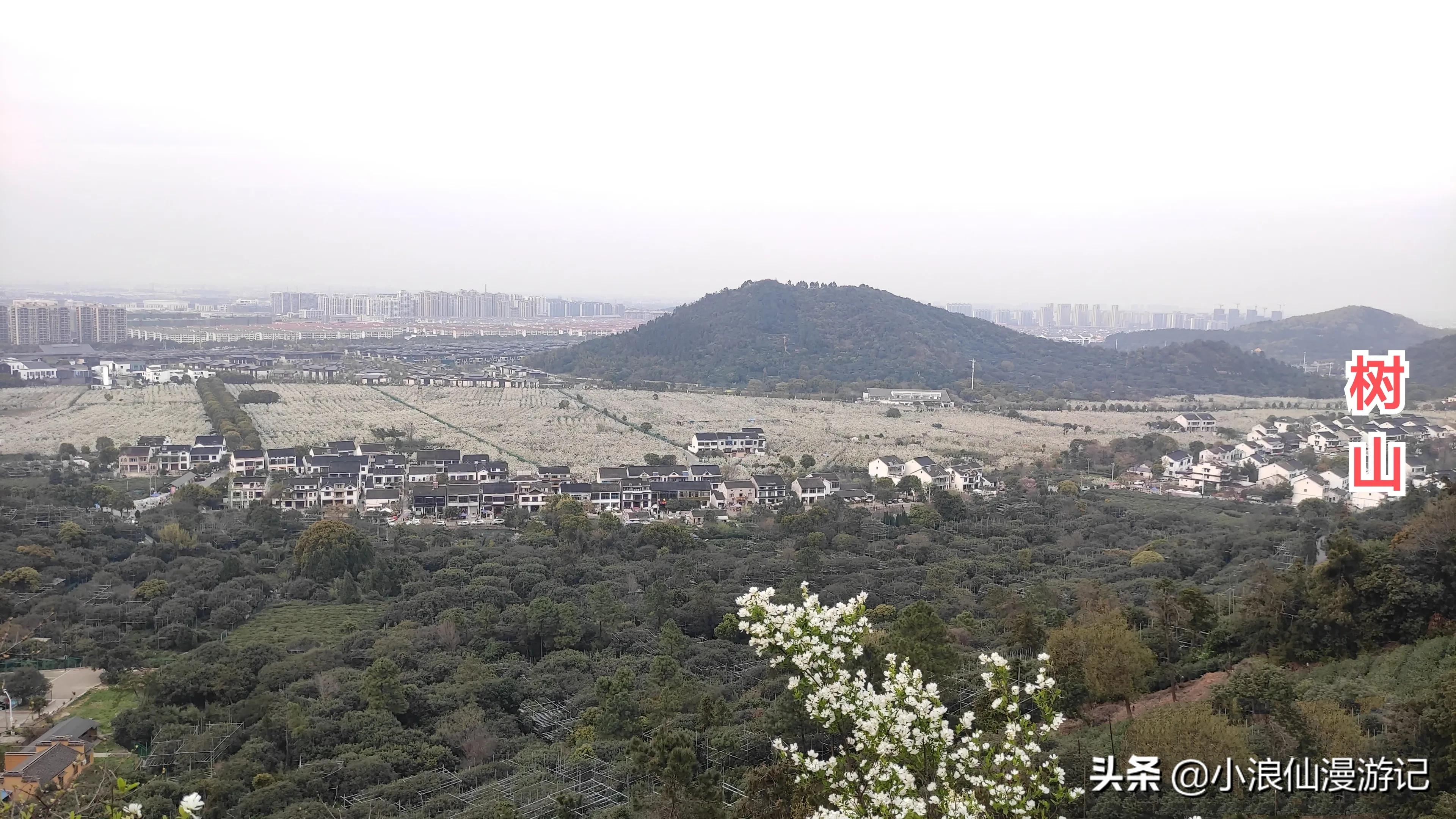 苏州免费景点排名榜前十名,苏州60岁免费景点大全