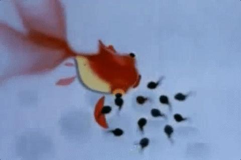 8090后的童年回忆动画片60部,童年回忆珍藏的8090后动画片