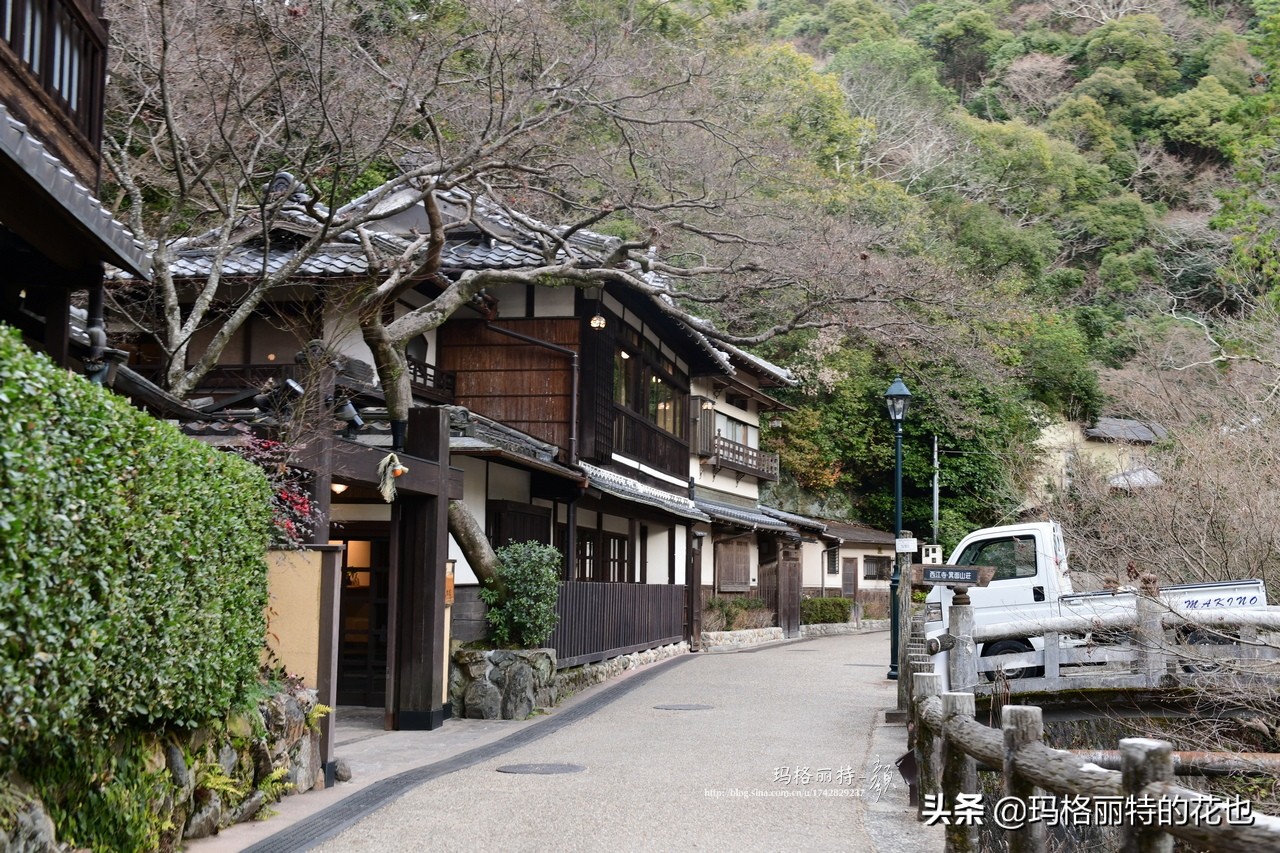萁田森林公园和大阪的省钱之旅|行摄日本