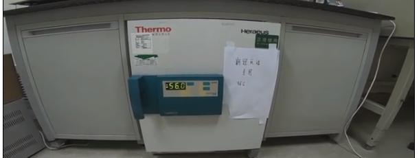 核酸检测pcr的方法,pcr核酸检测技术结果分析