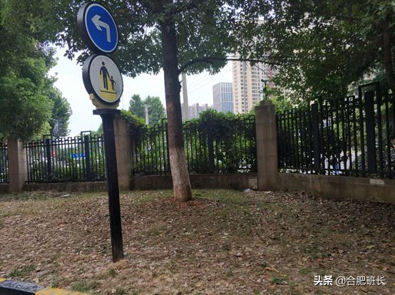 合肥滨湖学区房最新价格,合肥滨湖cbd学区房