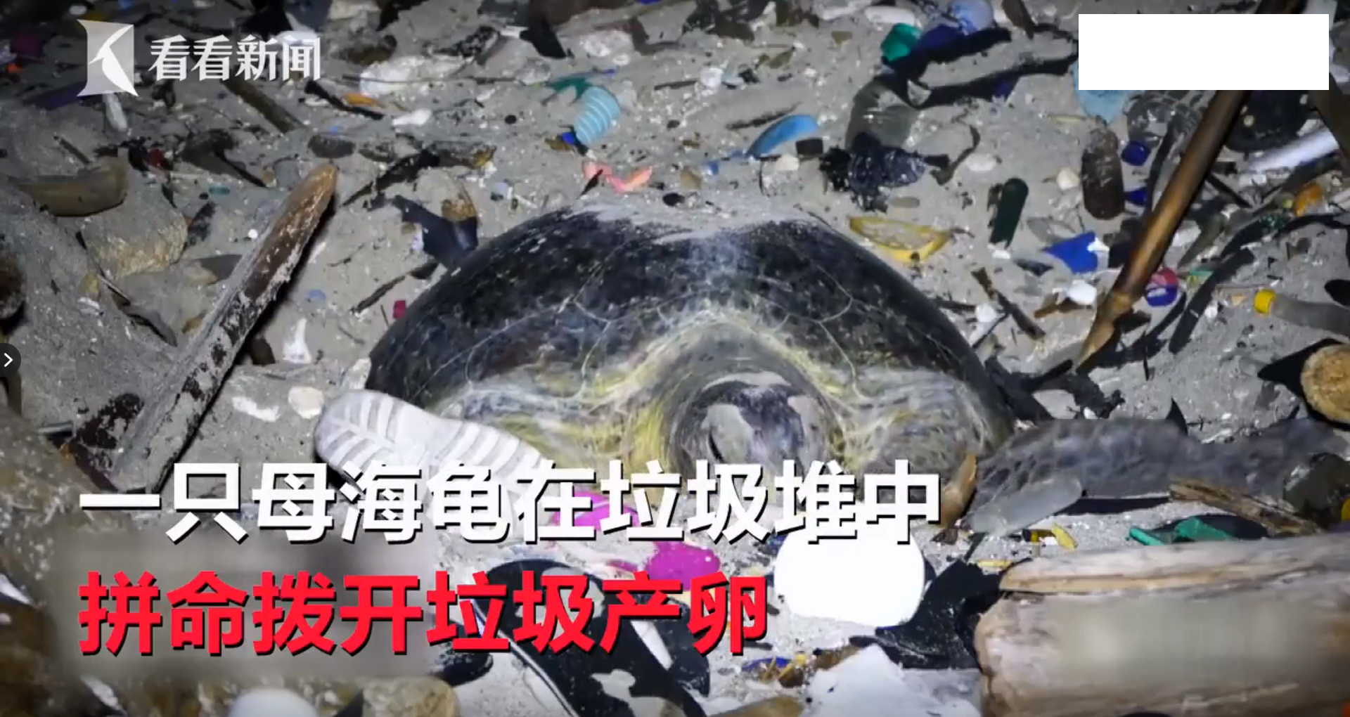 救救她韩语,救救她