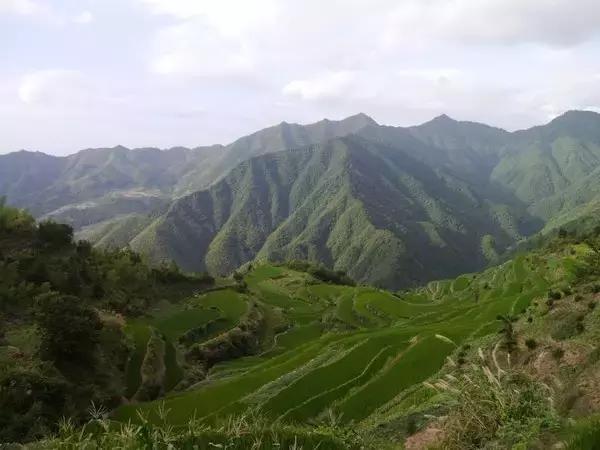 去了10次也不腻的地方,芜湖最值得一去的地方
