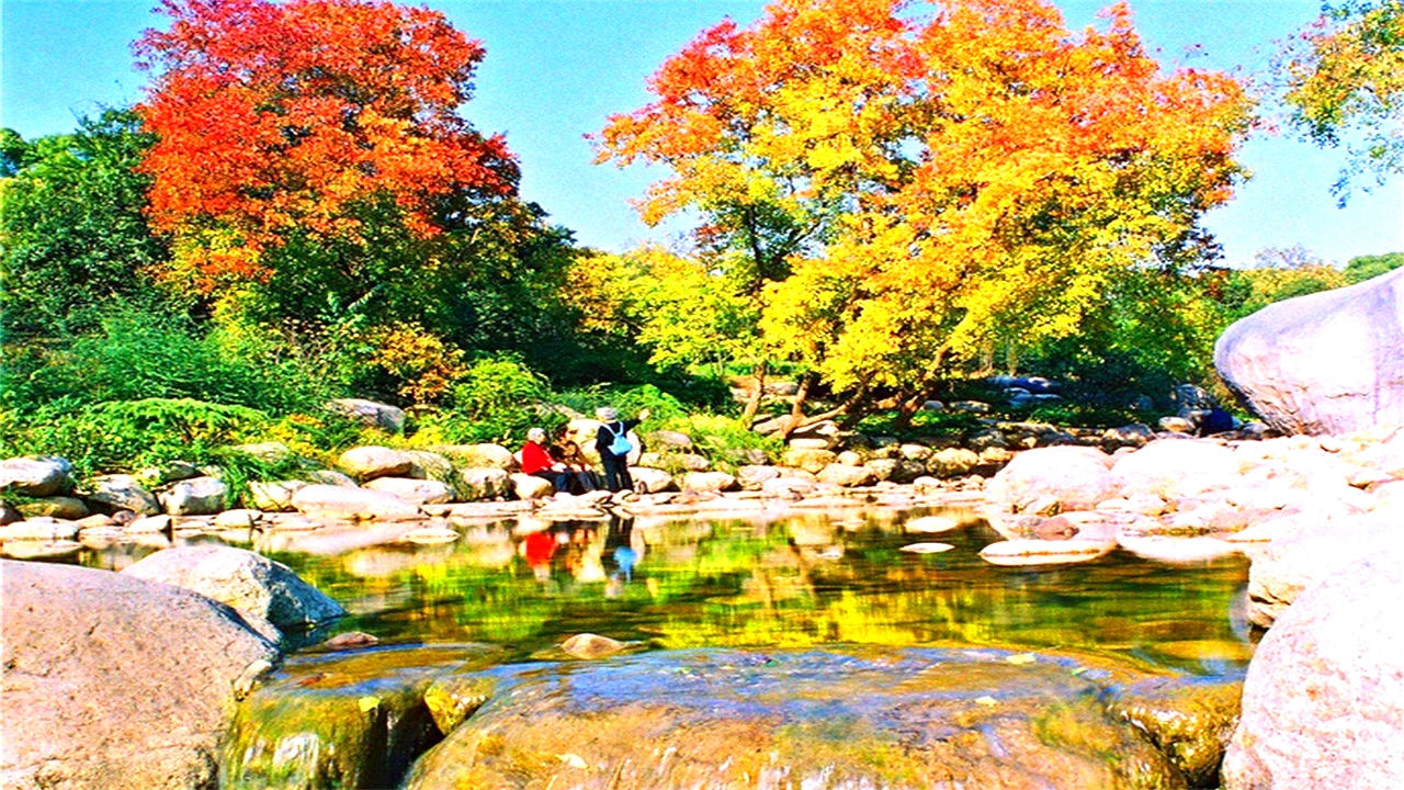 无锡梅园梅花已盛开,无锡梅园百合花节