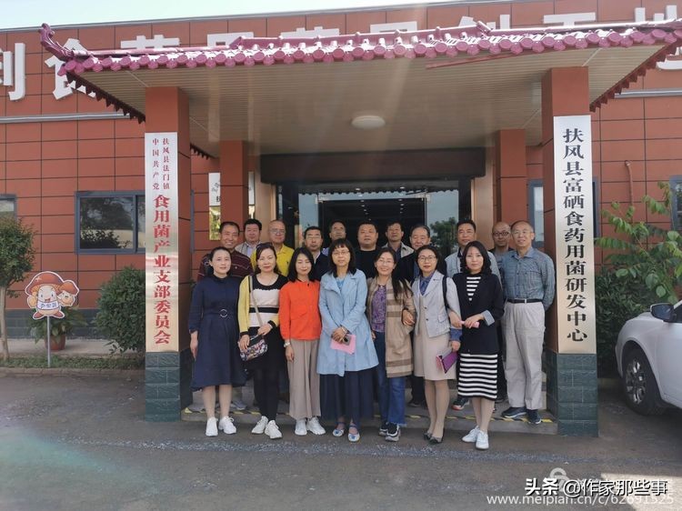 赴一场槐花的邀约——宝鸡作家赴扶风野河山采风