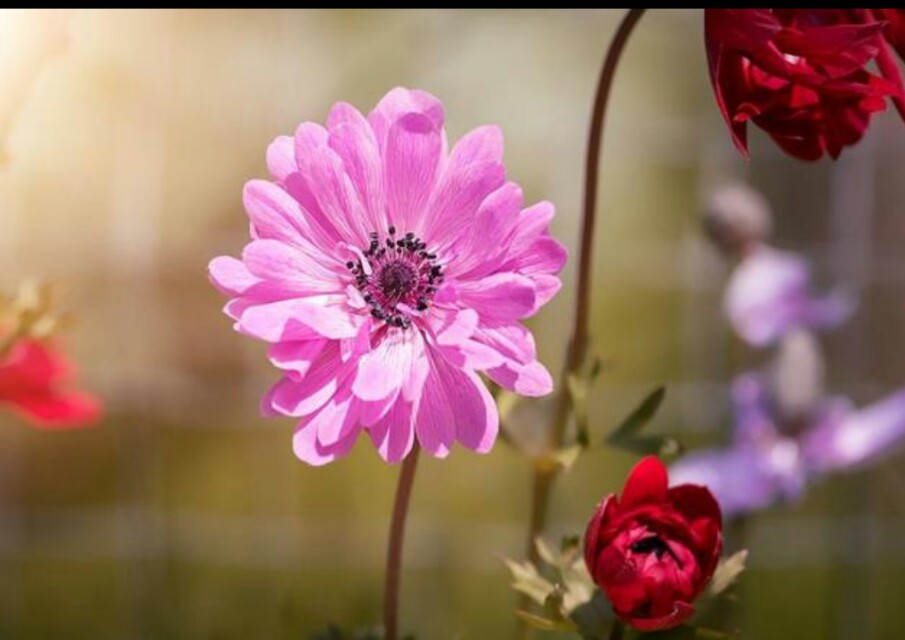 普通百姓怎么理财,这才是普通人正确的理财方法