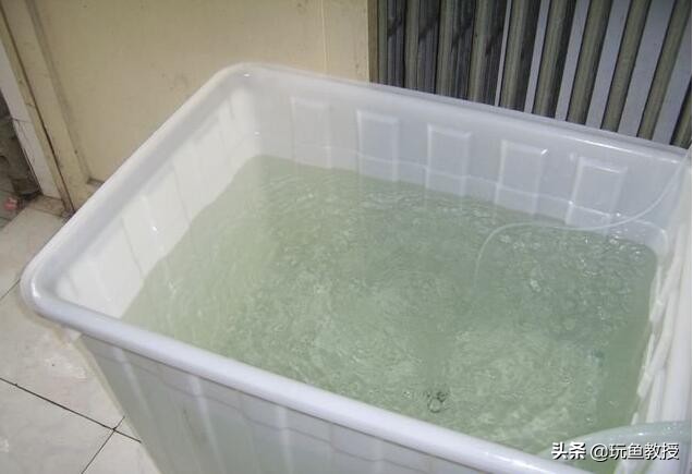 鱼缸上滤水流出来很多细小气泡,鱼缸里面有气泡怎么解决