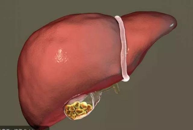 被武汉红十字会气到爆肝！疫情之下护肝成为重中之重