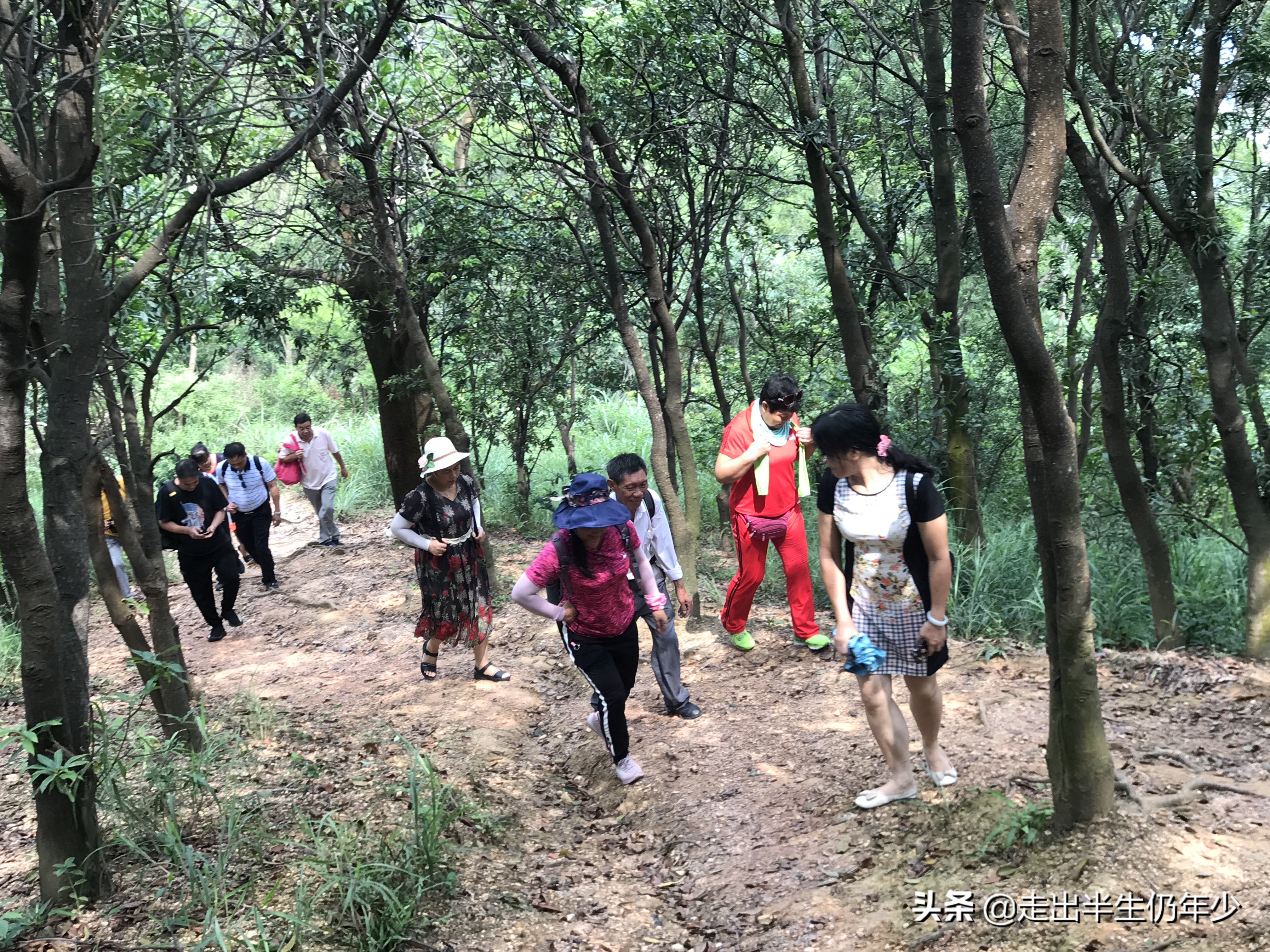 淘金山求水山徒步线路,从求水山公园怎样进入淘金山绿道