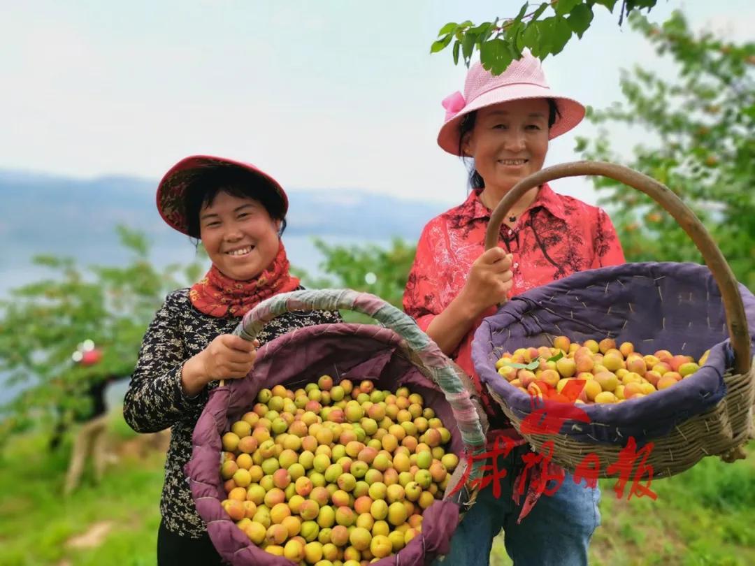 褰撳垢绂忔潵鏁查棬鎵撳紑闂ㄥ幓杩庢帴鏈潵,褰撳垢绂忔潵鏁查棬閮槼閮寒鍘熷敱