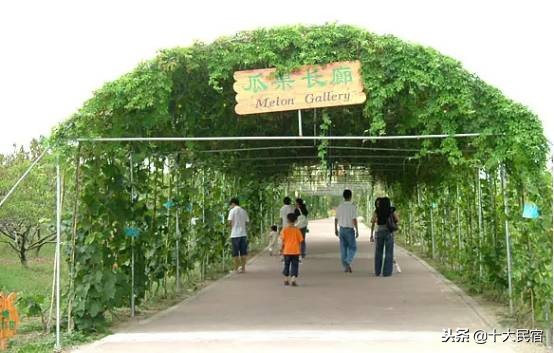 苏州西山岛和西山景区,太湖西山岛旅游攻略