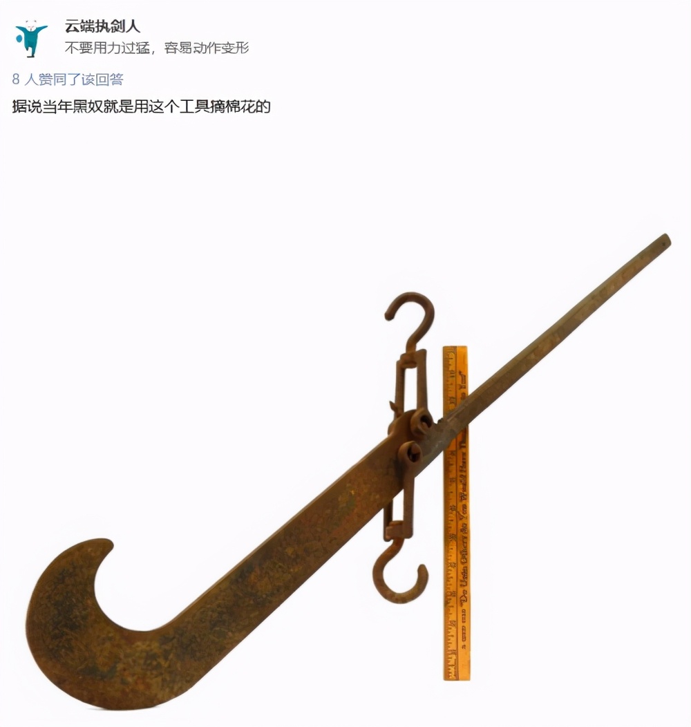 下一个英国女王会是谁,下一个英国女王可能是谁