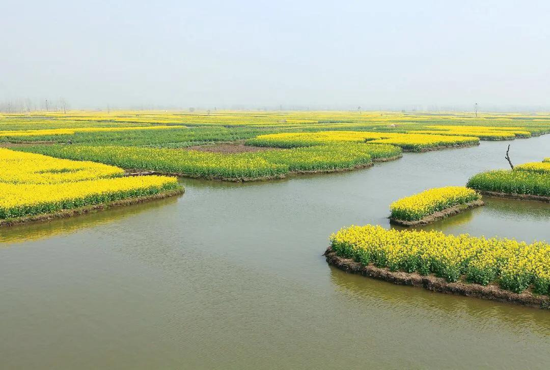 兴化的城市好冷,外地人评论兴化
