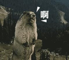 快递血泪史详细介绍,快递进化史菜鸟