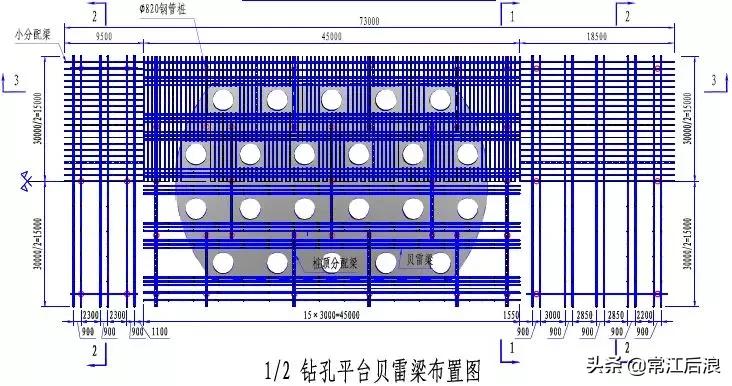 简易桥梁设计图纸大全,桥梁设计简图配上说明性文字