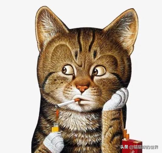 二手烟对猫有影响吗,二手烟对猫的危害